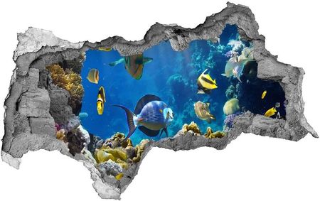 Wallmuralia.Pl Fototapeta dziura na ścianę Rafa koralowa (NDB36026012)