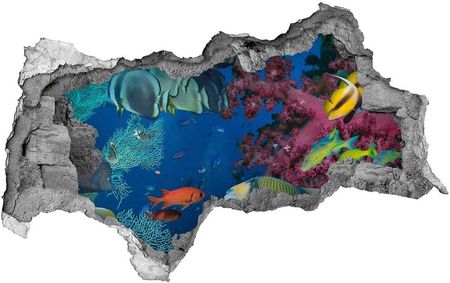 Wallmuralia.Pl Dziura 3d fototapeta na ścianę Rafa koralowa (NDB64308436)