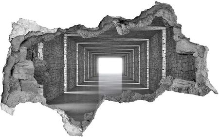 Wallmuralia.Pl Dziura 3d fototapeta na ścianę Tunel z cegły (NDB73368031)