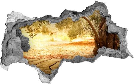 Wallmuralia.Pl naklejka fototapeta 3D widok Drzewo oliwne (NDB77330786)