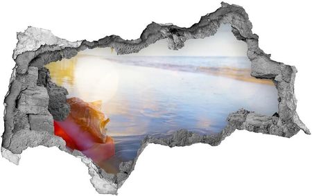 Wallmuralia.Pl naklejka fototapeta 3D widok Muszla na plaży (NDB83555961)