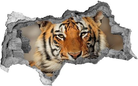 Wallmuralia.Pl Dziura 3d foto tapeta naklejka Tygrys bengalski (NDB88747131)