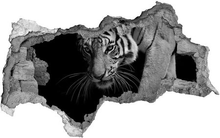Wallmuralia.Pl Dziura 3d foto tapeta naklejka Tygrys (NDB89533463)