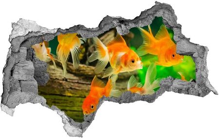 Wallmuralia.Pl Dziura 3d foto tapeta naklejka Złote rybki (NDB89540196)