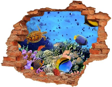 Wallmuralia.Pl Dziura 3d fototapeta naklejka Rafa koralowa (NDC35544351)