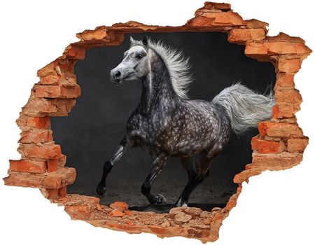 Wallmuralia.Pl Dziura 3d fototapeta na ścianę Szary koń arabski (NDC49747605)