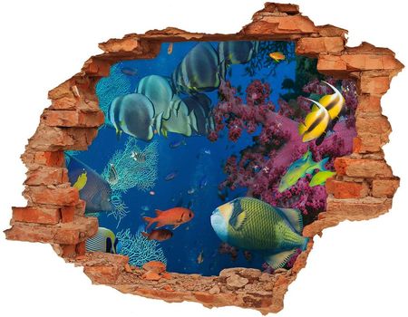 Wallmuralia.Pl Dziura 3d fototapeta na ścianę Rafa koralowa (NDC64308436)