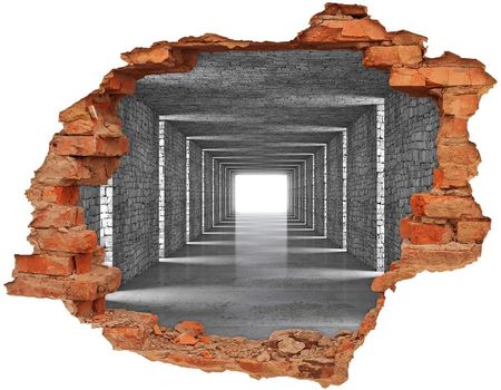 Wallmuralia.Pl Dziura 3d fototapeta na ścianę Tunel z cegły (NDC73368031)