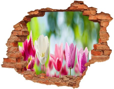 Wallmuralia.Pl Fototapeta dziura na ścianę Tulipany (NDC88763928)