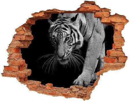 Wallmuralia.Pl Dziura 3d foto tapeta naklejka Tygrys (NDC89533463)