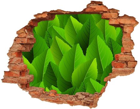 Wallmuralia.Pl Fototapeta dziura na ścianę Zielone liście (NDC90288454)