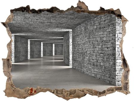 Wallmuralia.Pl Dziura 3d fototapeta naklejka Tunel z cegły (NDK73658635)