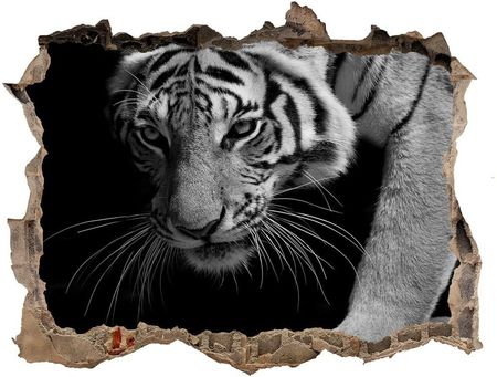 Wallmuralia.Pl Dziura 3d foto tapeta naklejka Tygrys (NDK89533463)