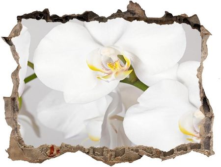 Wallmuralia Samoprzylepna Naklejka Na Ścianę Orchidea 95X64Cm Nd-K-133396361