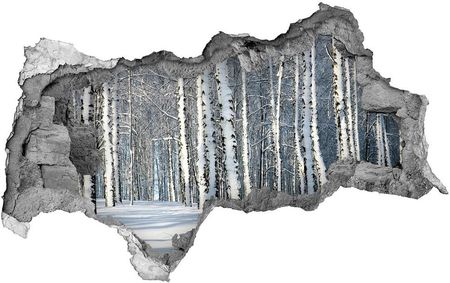 Wallmuralia Samoprzylepna Dziura Na Ścianę Naklejka Las Zimą 95X73Cm Nd-B-61171749