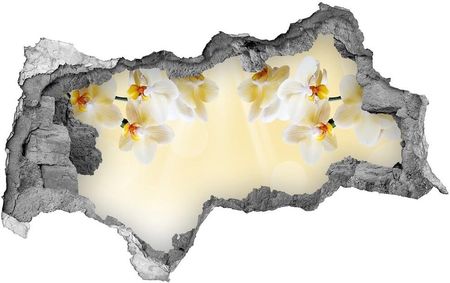 Wallmuralia Samoprzylepna Dziura Na Ścianę Naklejka Orchidea 95X73Cm Nd-B-72852358