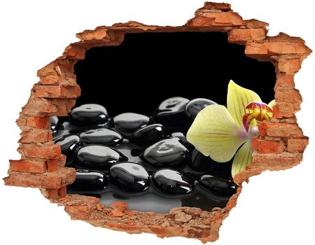 Wallmuralia Samoprzylepna Dziura Na Ścianę Naklejka Orchidea 90X70Cm Nd-C-53476359