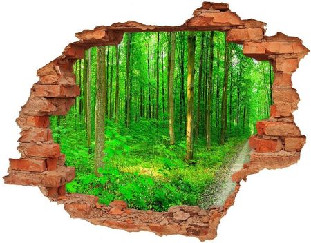 Wallmuralia Samoprzylepna Dziura Naklejka Drzewa W Lesie 90X70Cm Nd-C-69570264