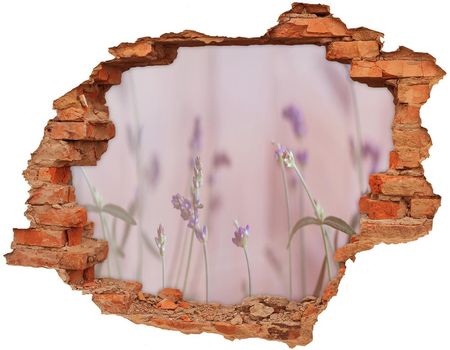 Wallmuralia Samoprzylepna Dziura Na Ścianę Naklejka Lawenda 90X70Cm Nd-C-85603385