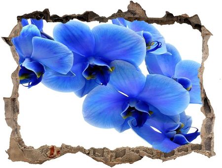 Wallmuralia Samoprzylepna Dziura Naklejka Niebieska Orchidea 95X64Cm Nd-K-91549599