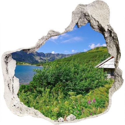 Wallmuralia Dziura 3D W Ścianie Na Ścianę Domek W Tatrach 75x75cm