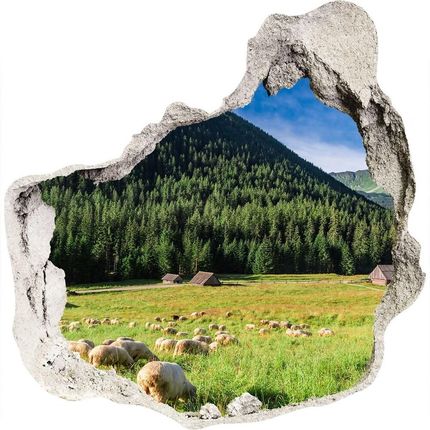 Wallmuralia Dziura 3D W Ścianie Na Ścianę Owce W Tatrach 75x75cm