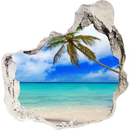 Wallmuralia Dziura 3D W Ścianie Naklejka Karaiby Plaża 75x75cm