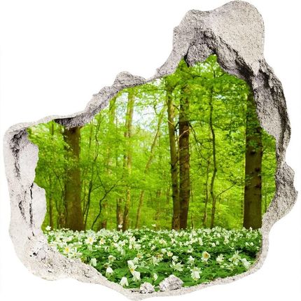 Wallmuralia Naklejka Fototapeta 3D Widok Kwiaty W Lesie 75x75cm