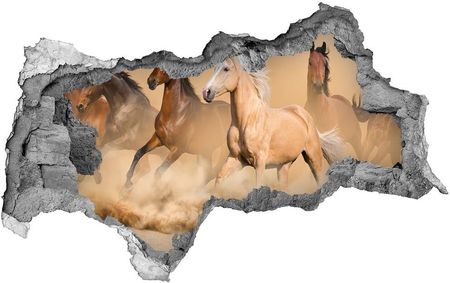 Wallmuralia Dziura 3D Foto Tapeta Naklejka Konie Pustynia 95x73cm