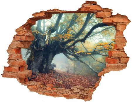 Wallmuralia Fototapeta Naklejka Na Ścianę Stare Drzewo 90x70cm