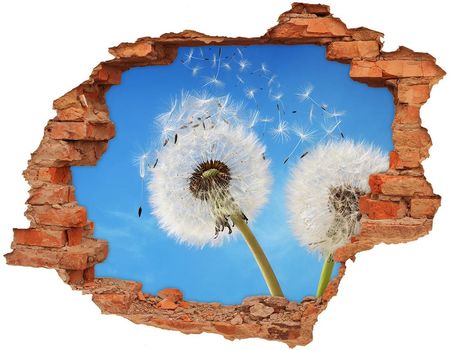 Wallmuralia Samoprzylepna Dziura Na Ścianę Dmuchawce 90x70cm