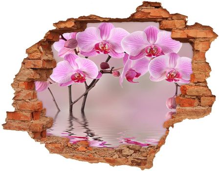 Wallmuralia Samoprzylepna Dziura Na Ścianę Różowa Orchidea 90x70cm