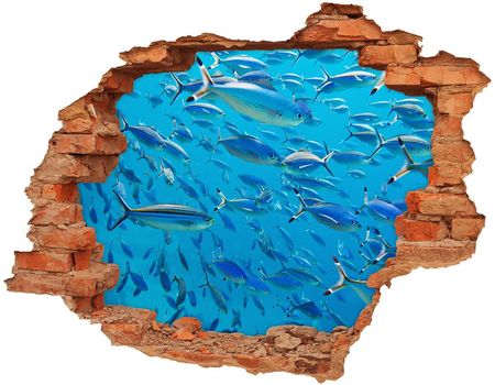 Wallmuralia Dziura 3D Fototapeta Naklejka Koralowe Ryby 90x70cm