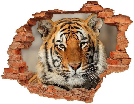 Wallmuralia Dziura 3D Foto Tapeta Naklejka Tygrys Bengalski 90x70cm