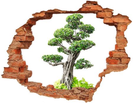 Wallmuralia Samoprzylepna Dziura Na Ścianę Drzewo Bonsai 90x70cm