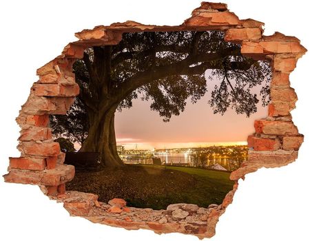 Wallmuralia Naklejka Fototapeta 3D Na Ścianę Stare Drzewo 90x70cm