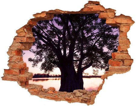 Wallmuralia Samoprzylepna Dziura Na Ścianę Drzewo I Jezioro 90x70cm