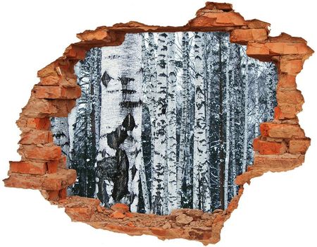 Wallmuralia Samoprzylepna Dziura Na Ścianę Drzewa Brzozy 90x70cm