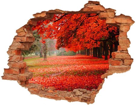 Wallmuralia Samoprzylepna Dziura Na Ścianę Drzewa Jesienią 90x70cm