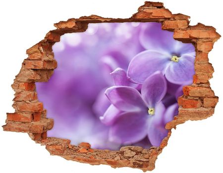 Wallmuralia Samoprzylepna Dziura Na Ścianę Kwiaty Bzu 90x70cm