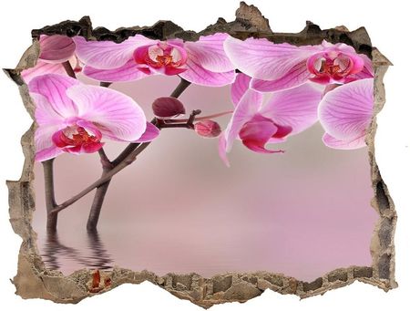 Wallmuralia Samoprzylepna Dziura Na Ścianę Różowa Orchidea 95x64cm