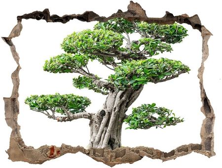 Wallmuralia Samoprzylepna Dziura Na Ścianę Drzewo Bonsai 95x64cm