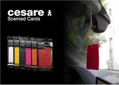 Zdjęcie Mr&Mrs Cesare Scented Card Cedar Wood Scent Black (Jcestes003) - Ostrów Lubelski