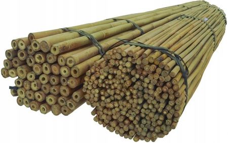 Vidaxl Dixiestore Tyczki Bambusowe 210 Cm 24/26 Mm /10 Szt/ Bambus 118
