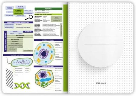 6117 50本セット Top 2000 Zestaw Zeszytów Przedmiotowych Klasa 5-6 - Ceny i