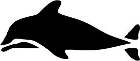 Szablon morski 1 - Delfin
