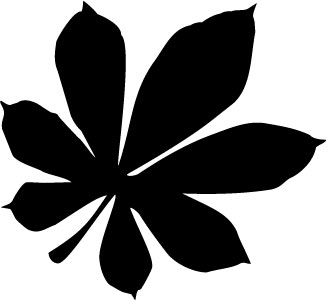 Szablon flora 150 - liść kasztanowca