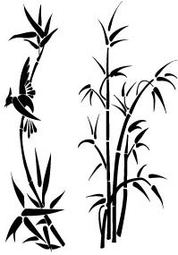 Flora 131 - bambusy