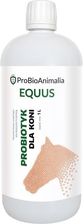 Probiotics Probiotyk Dla Koni 1L Wzmacnia System Immunologiczny