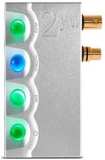 Zdjęcie Chord Electronics 2Yu Srebrny - Kalety